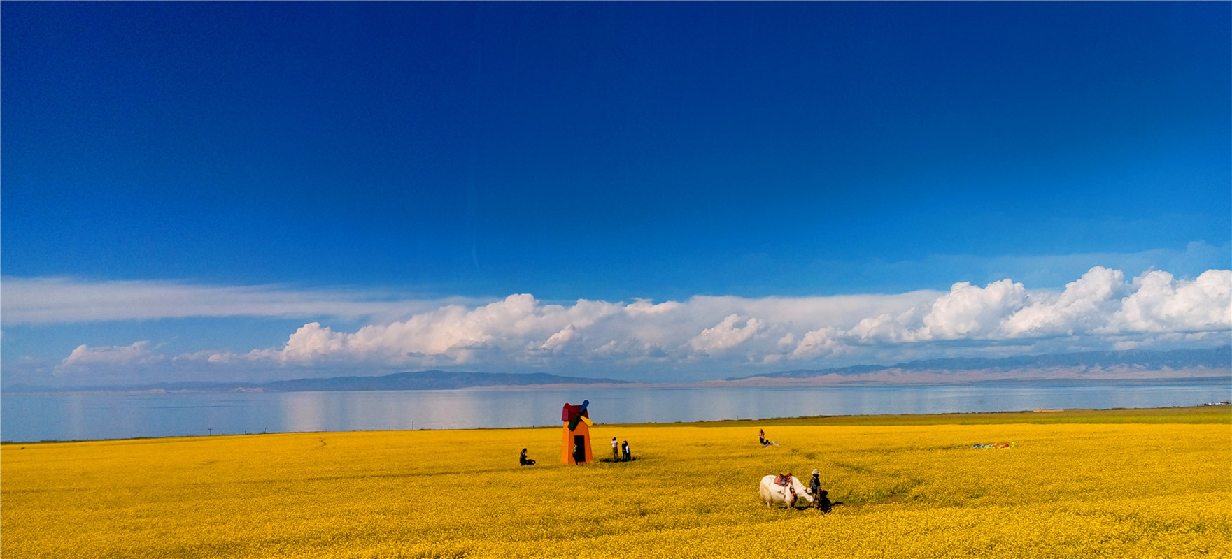 《大美青?！穭㈤?/>
                                    <div   id=